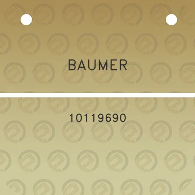 baumer-10119690