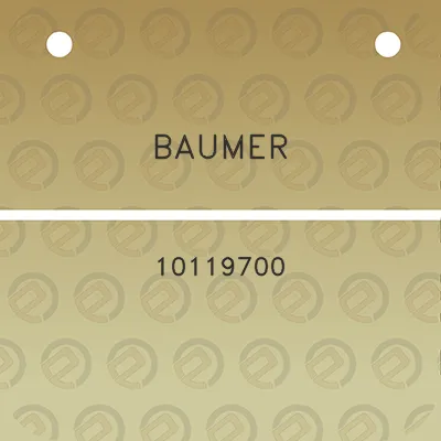 baumer-10119700