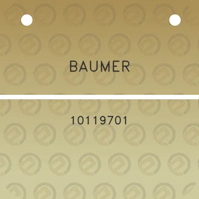 baumer-10119701