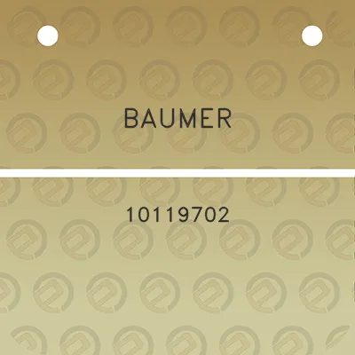 baumer-10119702