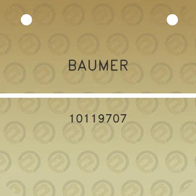 baumer-10119707