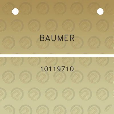 baumer-10119710