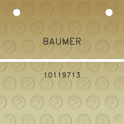 baumer-10119713