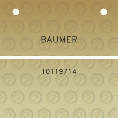 baumer-10119714