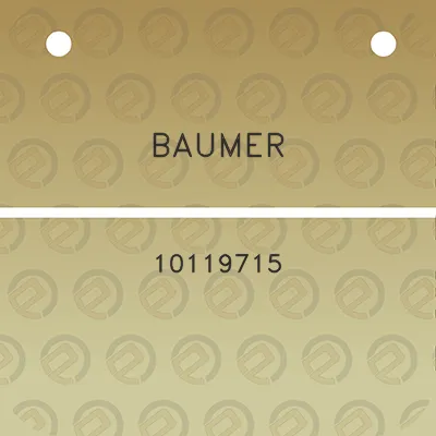 baumer-10119715