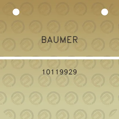 baumer-10119929