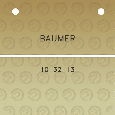 baumer-10132113