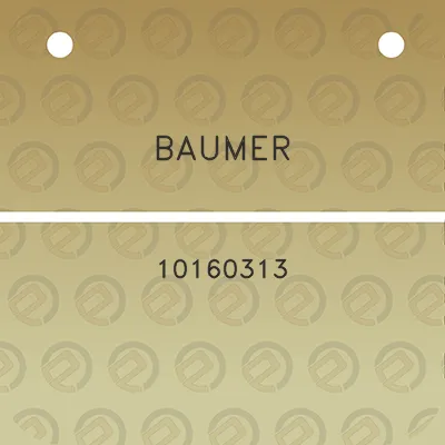 baumer-10160313