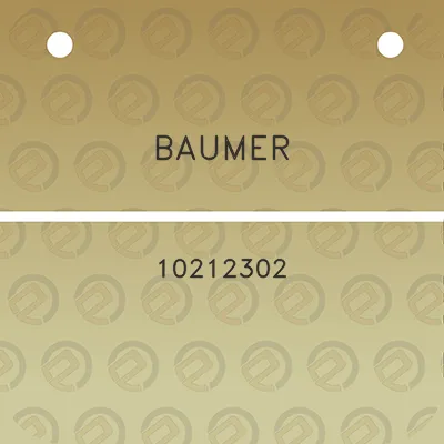 baumer-10212302