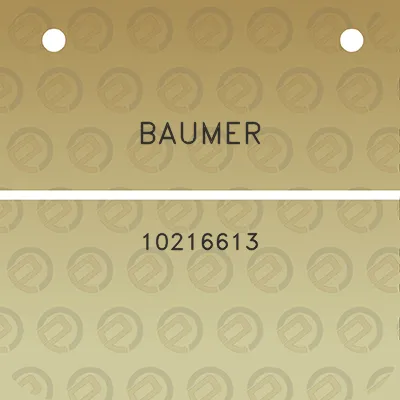 baumer-10216613