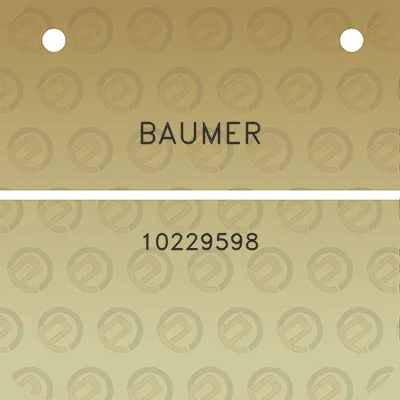 baumer-10229598