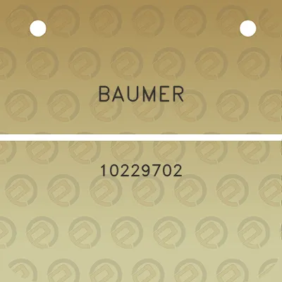 baumer-10229702