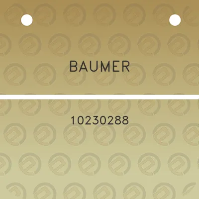 baumer-10230288