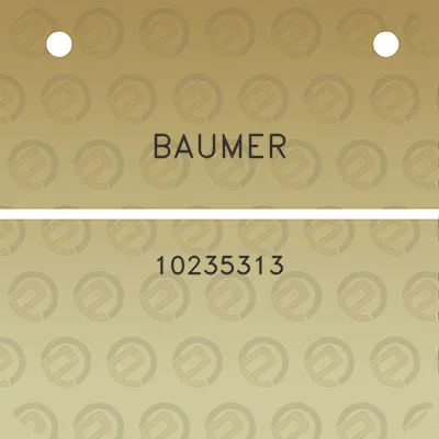 baumer-10235313