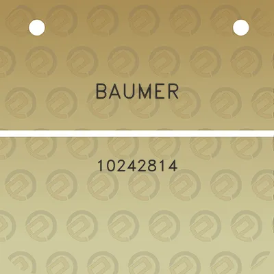 baumer-10242814