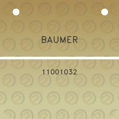 baumer-11001032