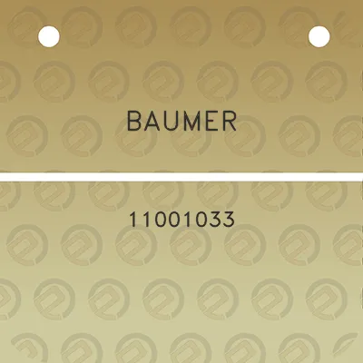 baumer-11001033