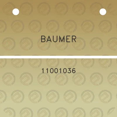 baumer-11001036