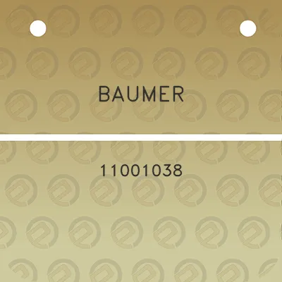 baumer-11001038