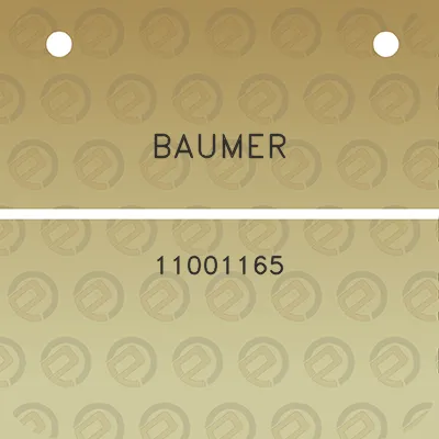 baumer-11001165