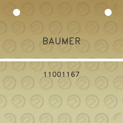 baumer-11001167