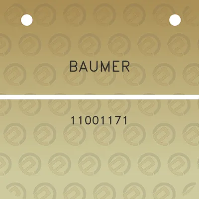 baumer-11001171