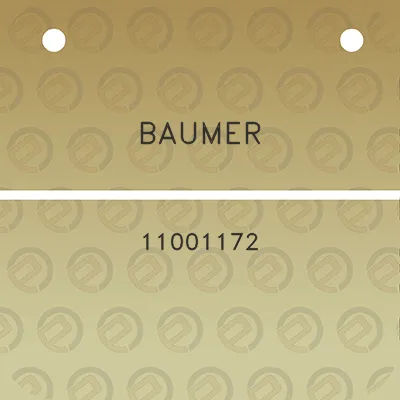 baumer-11001172