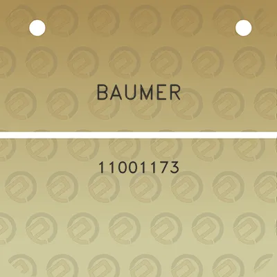 baumer-11001173