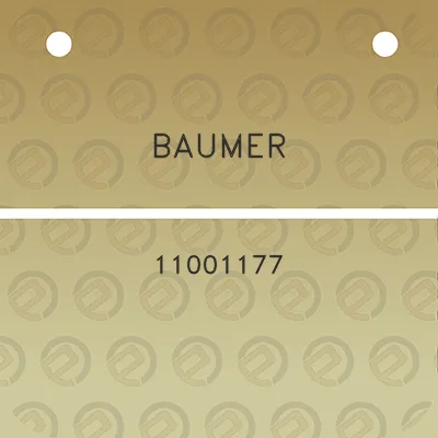 baumer-11001177