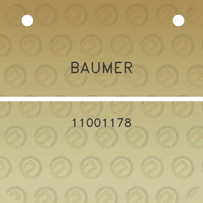 baumer-11001178