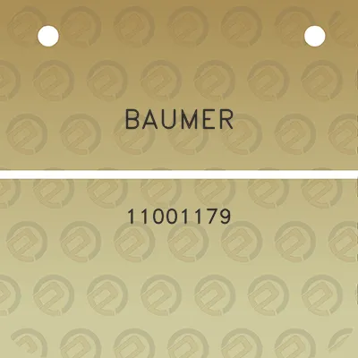 baumer-11001179