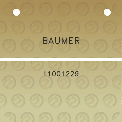 baumer-11001229