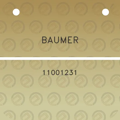 baumer-11001231