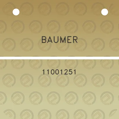 baumer-11001251