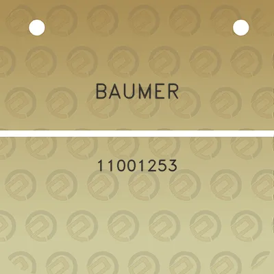 baumer-11001253