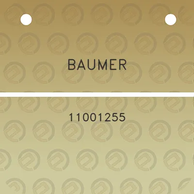 baumer-11001255