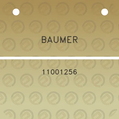 baumer-11001256