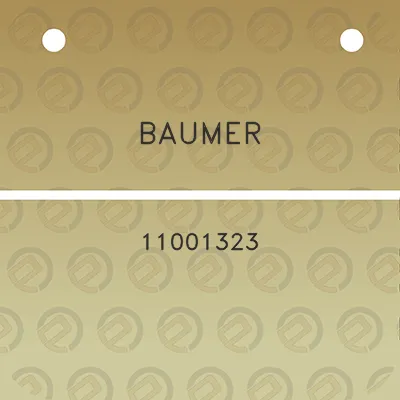 baumer-11001323