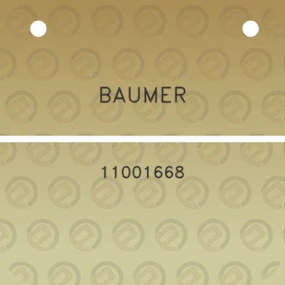 baumer-11001668