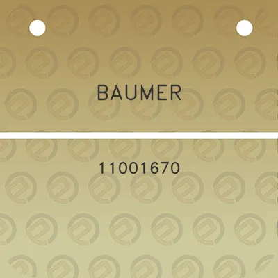 baumer-11001670