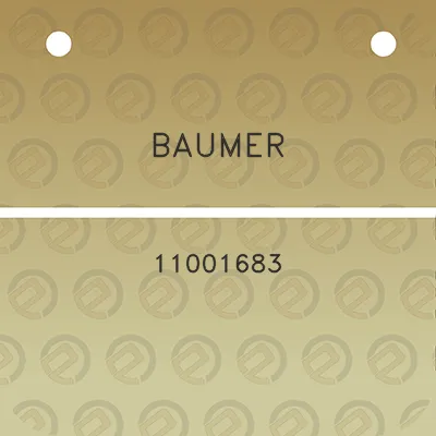 baumer-11001683