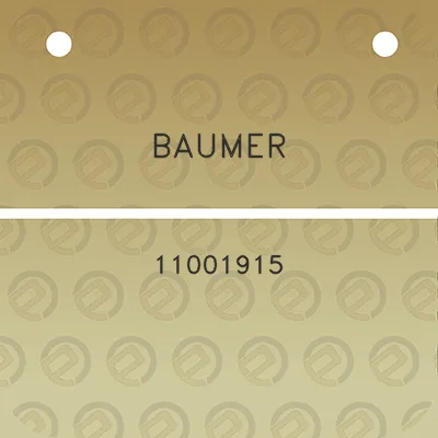 baumer-11001915