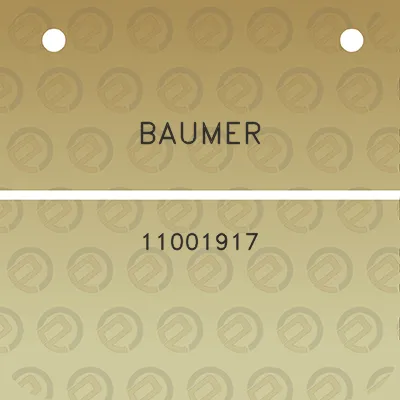 baumer-11001917