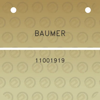 baumer-11001919