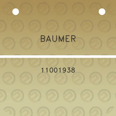 baumer-11001938