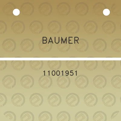 baumer-11001951