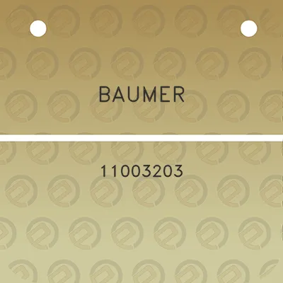 baumer-11003203