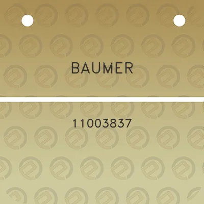 baumer-11003837