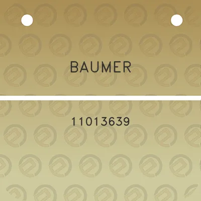 baumer-11013639