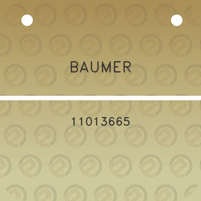 baumer-11013665